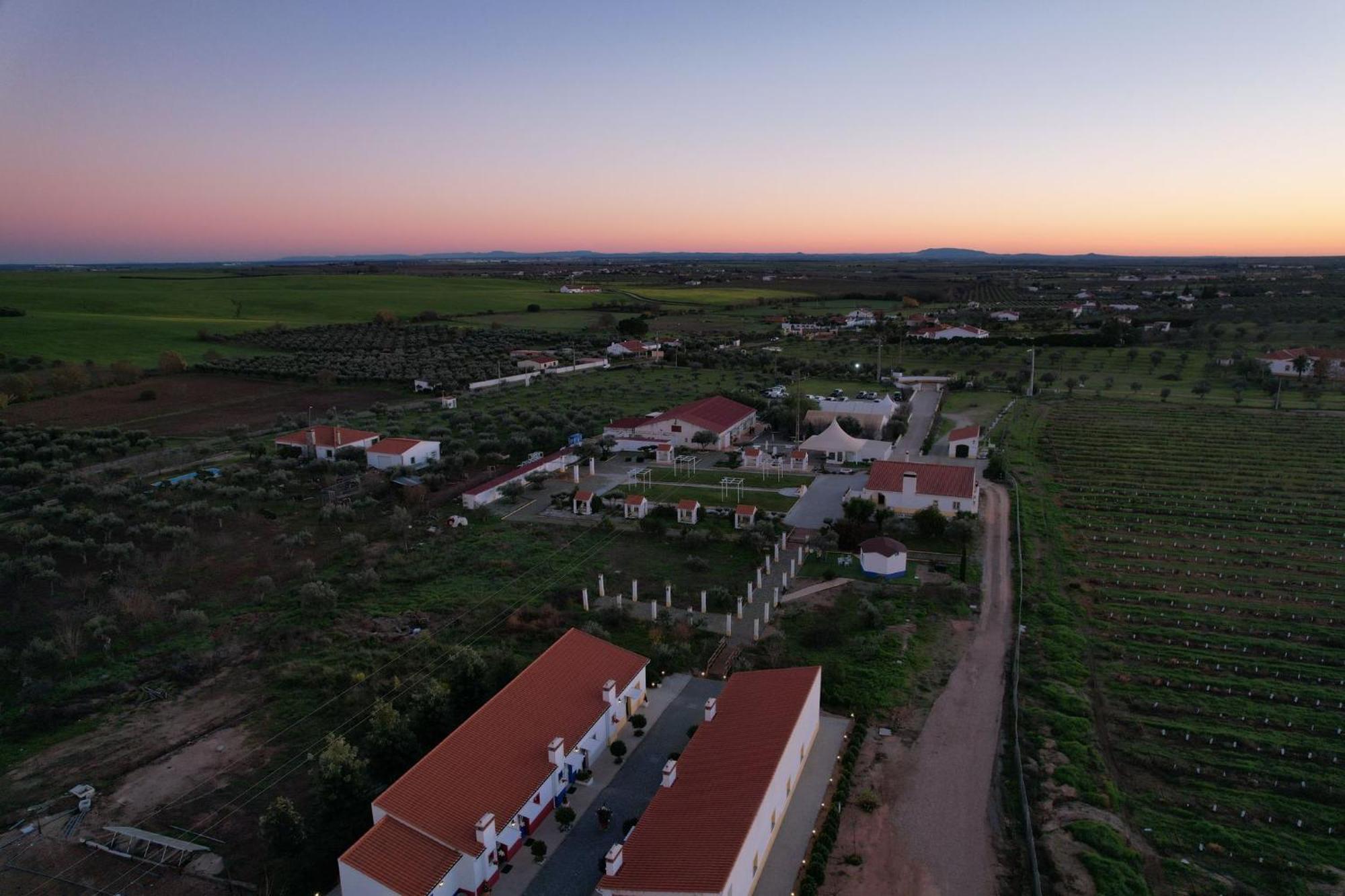 Olívale - Turismo Rural Campo Maior Exterior foto